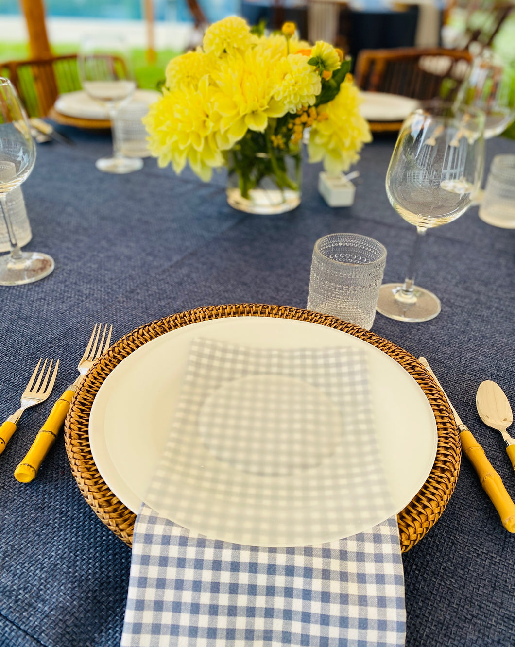 Gingham and Chambray